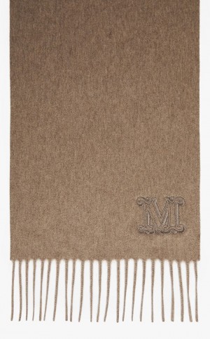 Lenços Max Mara Cashmere Stole With Embroidery Marrom | MMR594268