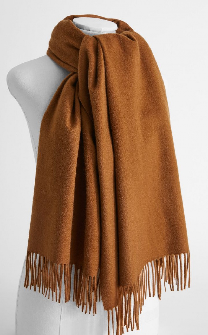 Lenços Max Mara Cashmere Stole With Embroidery Marrom | MMR594273