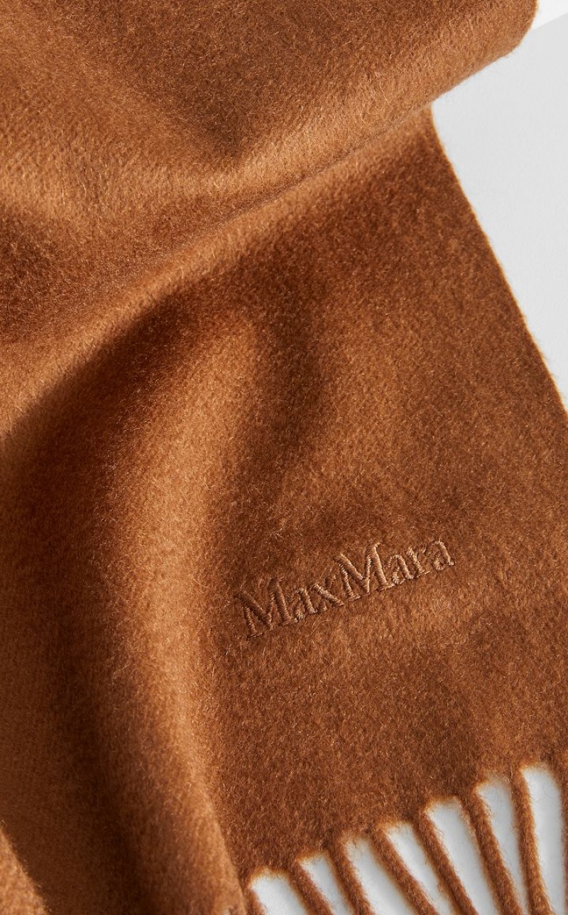 Lenços Max Mara Cashmere Stole With Embroidery Marrom | MMR594273