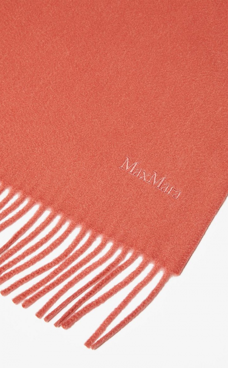 Lenços Max Mara Cashmere Stole With Embroidery Rosa | MMR594275